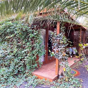 https://cabanalanz.puertodelcarmen-hotels.org